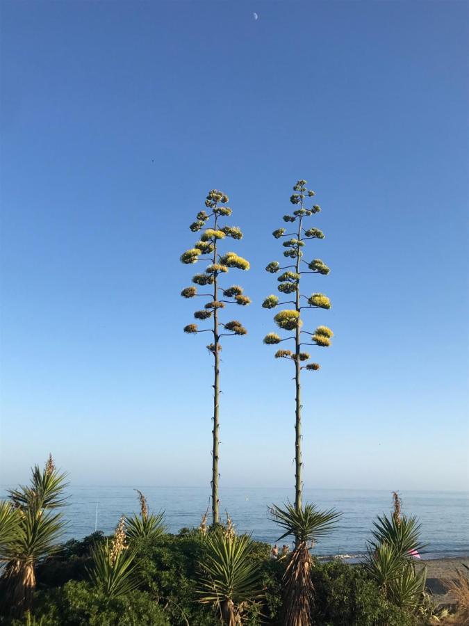 Marbella - Estepona Beach Frontline Apartment 外观 照片